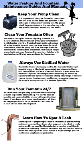 water feature maintenance infographic